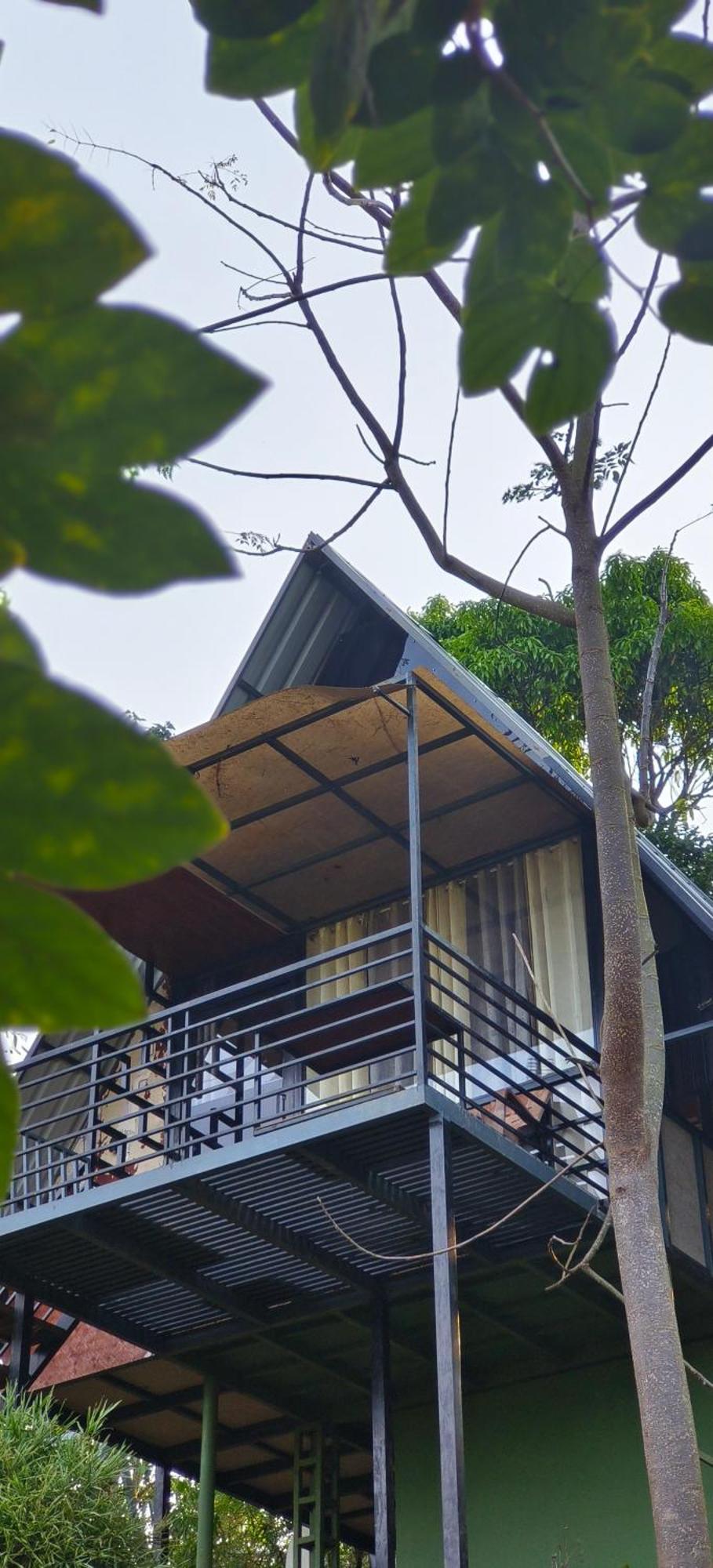 Angels Nest Home Stay 2 Acra Private Plantation Mountain Area Balconey Sunrice View Nearby Ngarhole Wild Life , Tholpetty Wild Life , Pakshipathalam Bird Santuary , Kuruva Island # Thirunelly & Thrissilery Temple Near By Secure Stay Wayanad Kerala Chegat Ngoại thất bức ảnh