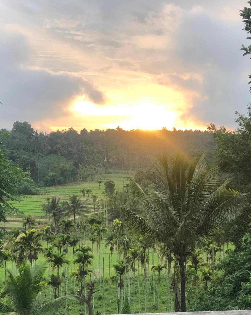 Angels Nest Home Stay 2 Acra Private Plantation Mountain Area Balconey Sunrice View Nearby Ngarhole Wild Life , Tholpetty Wild Life , Pakshipathalam Bird Santuary , Kuruva Island # Thirunelly & Thrissilery Temple Near By Secure Stay Wayanad Kerala Chegat Ngoại thất bức ảnh